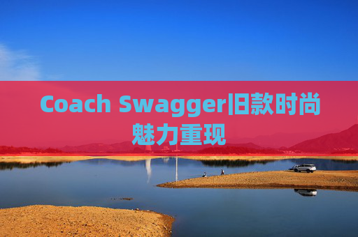 Coach Swagger旧款时尚魅力重现