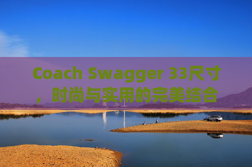 Coach Swagger 33尺寸，时尚与实用的完美结合
