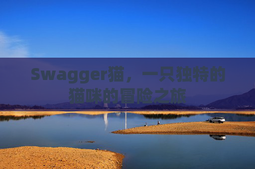 Swagger猫，一只独特的猫咪的冒险之旅