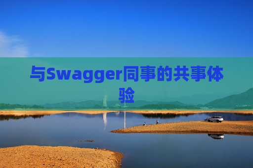 与Swagger同事的共事体验