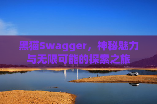 黑猫Swagger，神秘魅力与无限可能的探索之旅