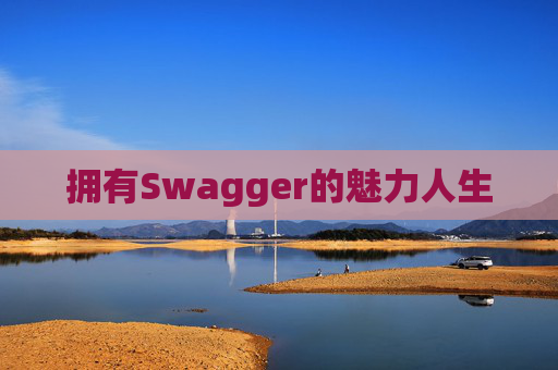 拥有Swagger的魅力人生